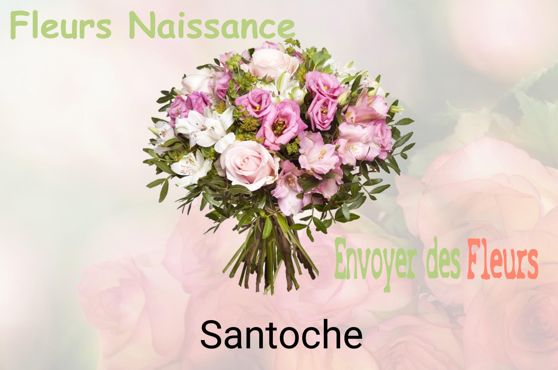 Bouquet de fleurs de naissance livré à Santoche