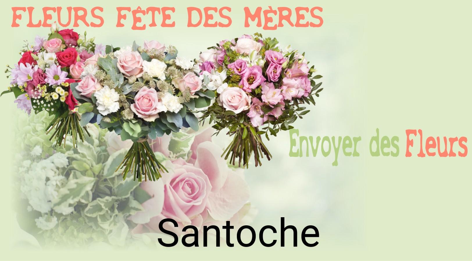 Bouquet de Fête des Mères livré à Santoche